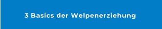 3 Basics der Welpenerziehung