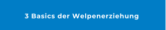 3 Basics der Welpenerziehung