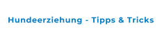 Hundeerziehung - Tipps & Tricks